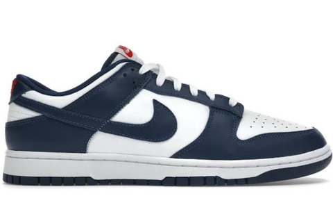 Nike Dunk Low Valerian Blue - Vilas Store