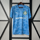 Camisa de Goleiro Palmeiras 25/26 Puma - Azul