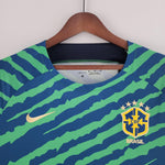 Camisa Seleção Brasil 2022 Nike - Verde e Azul - Edição Especial - Vilas Store