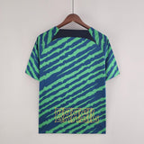 Camisa Seleção Brasil 2022 Nike - Verde e Azul - Edição Especial - Vilas Store