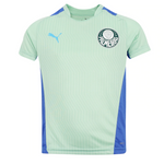 Camisa de Treino Palmeiras 22/23 Puma - Verde - Vilas Store