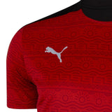 Camisa Seleção Egito 20/21 Puma - Vermelho - Vilas Store