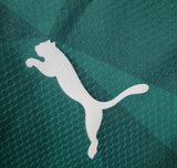 Camisa Palmeiras I 23/24 Puma - Verde - Vilas Store